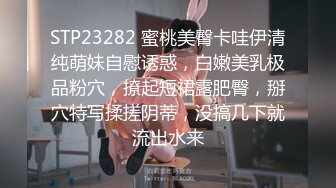  原版流出大神胖Tiger重金约战交过七八个男朋友做过女教师的漂亮小姐姐一镜到底全程露脸