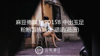 爱豆传媒 ID-5383 偷心女盗的完美性任务