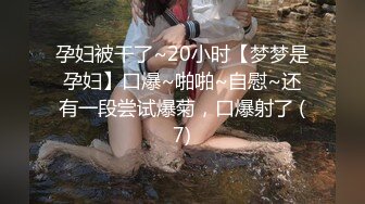 《用利抽插》约操肉感小少妇，按着头深喉口交