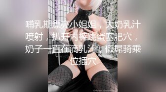 哺乳期漂亮小姐姐，大奶乳汁喷射，扒开内裤跳蛋塞肥穴，奶子一直在滴乳汁，假屌骑乘位插穴