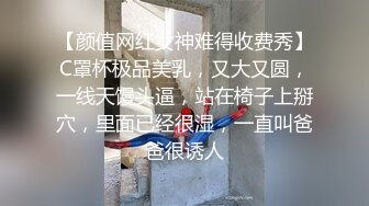 【颜值网红女神难得收费秀】C罩杯极品美乳，又大又圆，一线天馒头逼，站在椅子上掰穴，里面已经很湿，一直叫爸爸很诱人