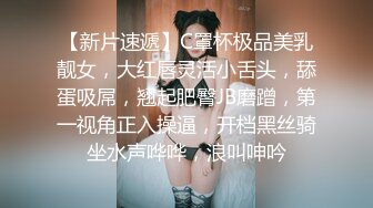 麻豆传媒 MPG0046 巨乳领导遭师傅侵犯-凌薇