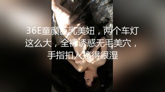 最新SSS极品高颜值女神【阿黎】超透明性感黑暗空姐