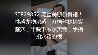 女教师搭上痴汉电车