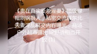 麻豆传媒 少妇白洁一到四章