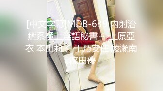 二十年后再会的清纯同学竟变身成为淫乱巨乳人妻！永井玛丽亚