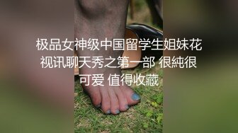 情色主播 白兔子