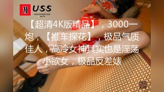 【超清4K版精品】，3000一炮，【推车探花】，极品气质佳人，高冷女神其实也是淫荡小欲女，极品反差婊