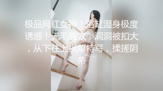 捆绑扇耳光轻虐母狗边拍边操