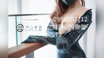 果冻传媒91CM-219元旦嘉年华-美樱 美竹玲 【MP4/486MB】