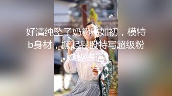 【AI换脸视频】杨颖 女空姐下班买玩具亲自实验大小尺寸