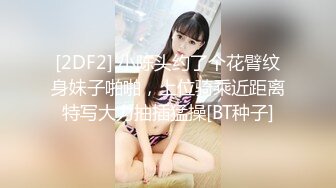 坦克前女友3