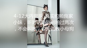 【伊玫瑰】高颜值河南小少妇，良家感十足，跟粉丝啪啪无套，自慰用黄瓜 (2)