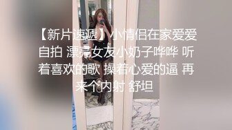 麻豆传媒-菜鸟特务 入侵者的反姦凌辱-袁子仪