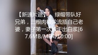 麻豆传媒MM-061 公厕痴女