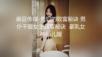 麻豆传媒-贵妇的致富秘诀 男仆干服女主获取秘诀  豪乳女神仙儿媛