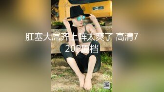 星之迟迟 - 24年1月计划C 布莱默顿新年旗袍