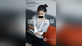 《硬核❤️精品重磅》万人求档推特九头身高端外围女神jiaduobao11只接有钱人群P调教纯纯反差母狗258P 109V完整版