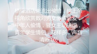 栖檬酒店未流出偸拍，纯上帝视角欣赏数对男女激情造爱，中年人偸情，骚女主动挑逗，青年学生情侣，花样多，声音清晰 (6)