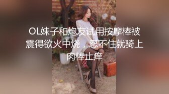 麻豆传媒SH-013女优面试日记-吴心语【MP4/303MB】