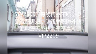 STP25097 每晚精品不断，极品靓丽少妇，缺钱兼职赚外快，浪叫震天小伙爽歪歪高潮了 VIP2209