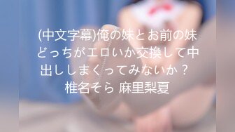 (中文字幕)俺の妹とお前の妹どっちがエロいか交換して中出ししまくってみないか？ 椎名そら 麻里梨夏