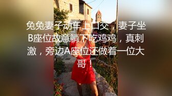 兔兔妻子动车上口交，妻子坐B座位故意躺下吃鸡鸡，真刺激，旁边A座位还做着一位大哥！