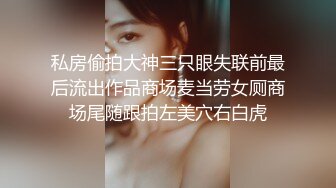 私房偷拍大神三只眼失联前最后流出作品商场麦当劳女厕商场尾随跟拍左美穴右白虎