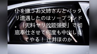 仆を嫌うお义姉さんとバッタリ遭遇したのはソープランド。「无料ヤリ放题强要」で彻底奉仕させて何度も中出ししてやる！ 辻井ほのか