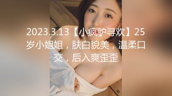 2023.3.13【小疯驴寻欢】25岁小姐姐，肤白貌美，温柔口交，后入爽歪歪