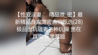 OnlyFans野性前卫刺青巨乳女网红【panid】不雅私拍，这对车大灯是真的太顶了 (2)