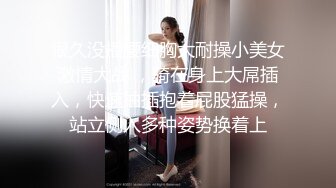 情趣房女仆炮友3