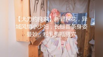 【大力约良家】新晋探花，异域风情小少妇，长腿苗条身姿曼妙，粉乳侧插骚穴