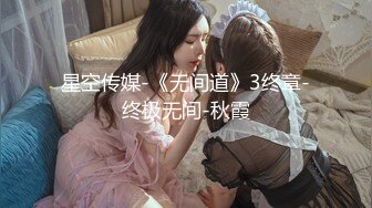 星空传媒-《无间道》3终章-终极无间-秋霞