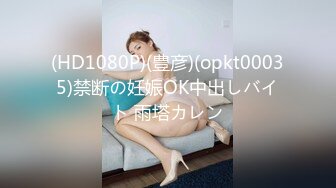 (HD1080P)(豊彦)(opkt00035)禁断の妊娠OK中出しバイト 雨塔カレン