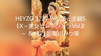 HEYZO 3227 みつ葉と主観SEX～美女コレクションVol.8～ &#8211; 菊川みつ葉