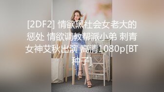 [2DF2] 情欲黑社会女老大的惩处 情欲调教帮派小弟 刺青女神艾秋出演 高清1080p[BT种子]